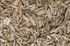 biomass boilers Thistledae